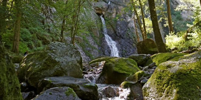 Wanderung durch Wälder zum Wasserfall von Cerocahui, Mexiko